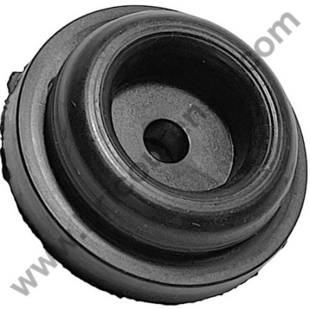 Pistone per Gruppo Pompante Fiac AB 248-338-360