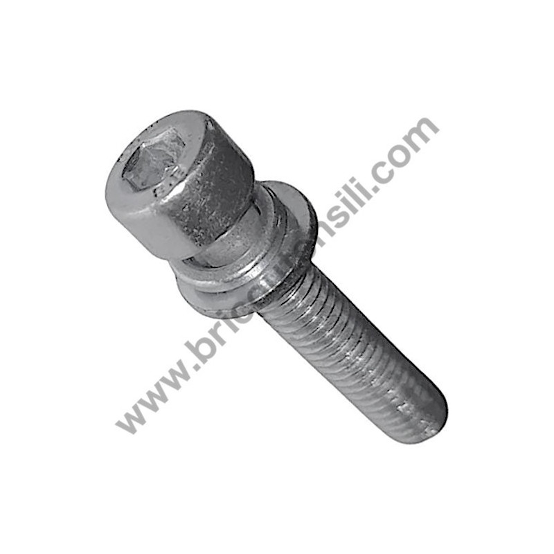 Maruyama HT230D Cap Screw M5x25