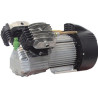 Gruppo Pompante per Compressore a Cinghia Mod. MK102/100 Lt