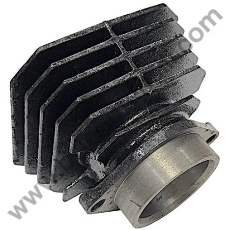 Cinghia di Trasmissione Rullo Coltelli Femi 630