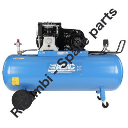 Gruppo Pompante per Compressore a Cinghia A29B BLU