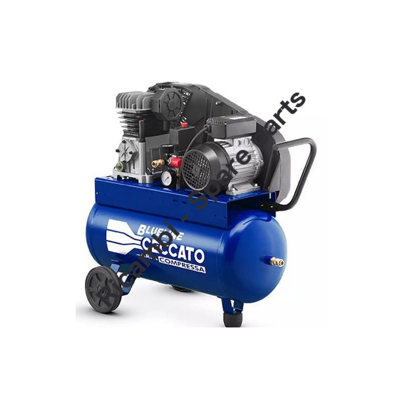 CECCATO Rricambi per Compressore BLUELINE 25BC2