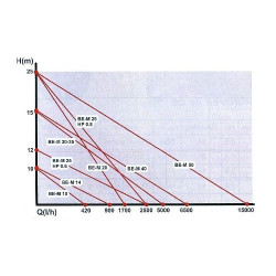 Elettropompa da Travaso Rover 20 CE