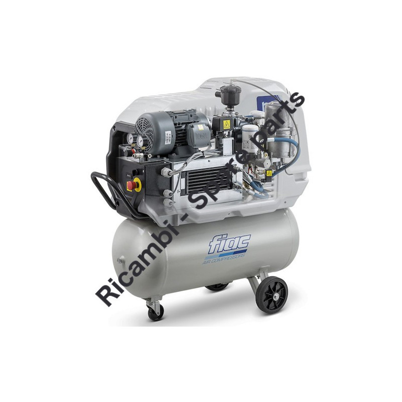 Fiac Ricambi per Compressore New Silver 3-90