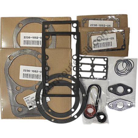 Gruppo Pompante per Compressore a Cinghia A29B BLU