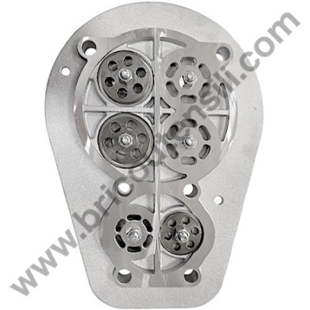 Gruppo Pompante per Compressore a Cinghia A29B BLU