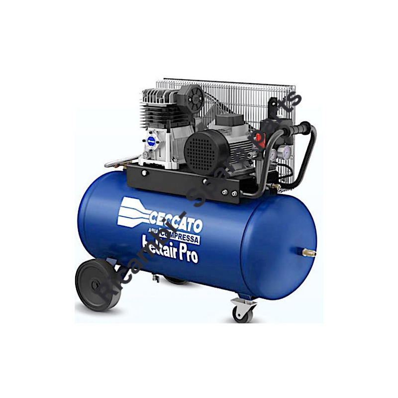 Gruppo Pompante per Compressore a Cinghia A29B BLU