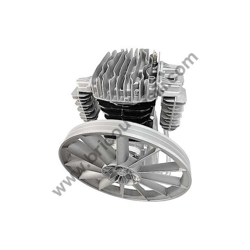 Gruppo Pompante per Compressore a Cinghia Mod. MK102/100 Lt