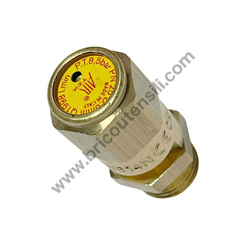 Valvola di Ritenuta per Compressori