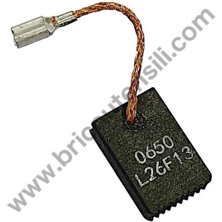 AEG WS10-115 Carbon Brush