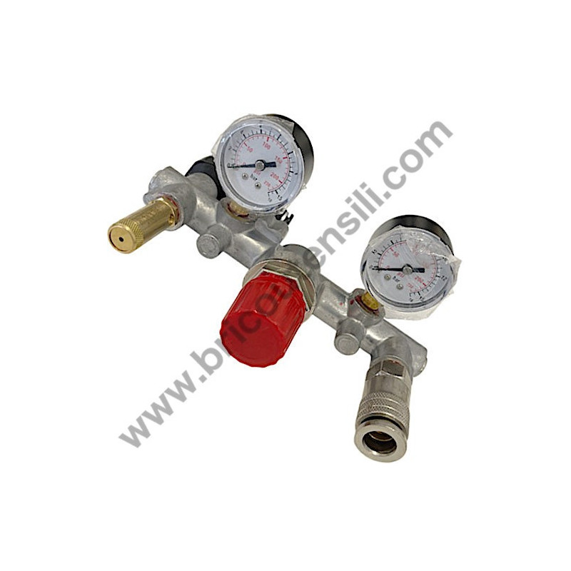 Pistone per Gruppo Pompante Fiac AB 248-338-360