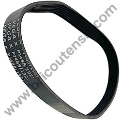 Papillon Rasaerba G 138-EL Cinghia