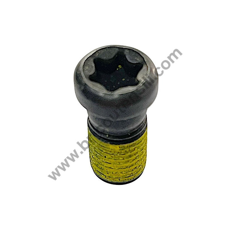 AEG BSB18C3BL Torx Screw