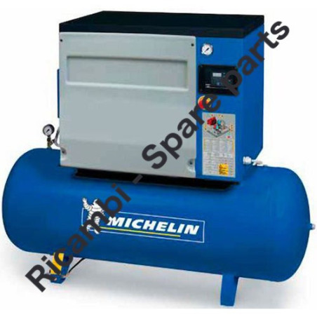 Michelin RSXD 10-300 Ricambi