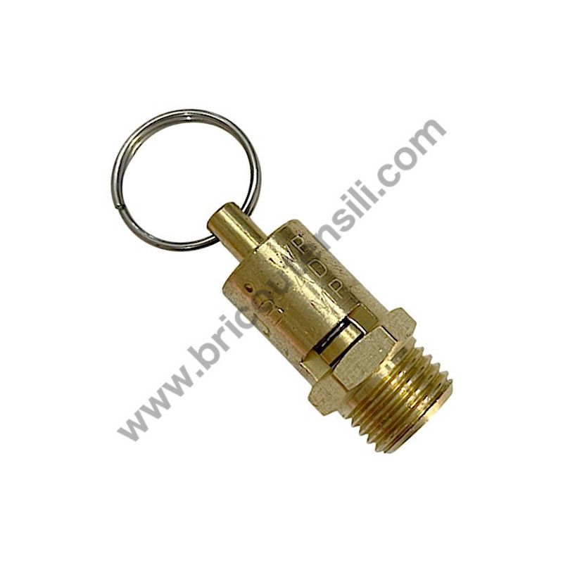 Michelin MCV 172 Safety Valve