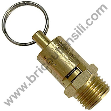 Pistone per Gruppo Pompante Fiac AB 248-338-360