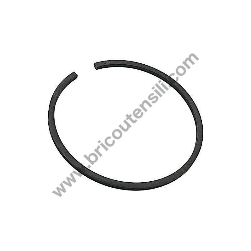 Gruppo Pompante per Compressore a Cinghia A29B BLU