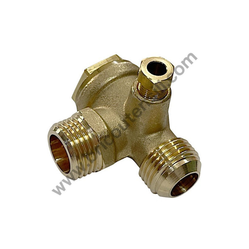 Gruppo Pompante per Compressore a Cinghia A29B BLU