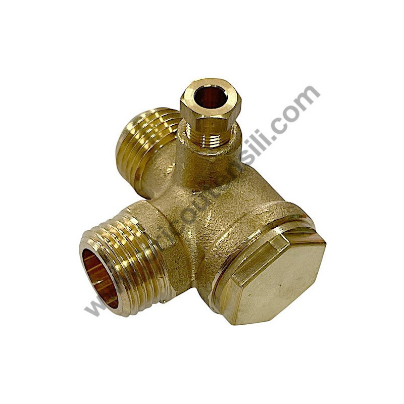 Gruppo Pompante per Compressore a Cinghia A29B BLU