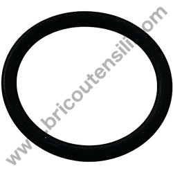 Pistone per Gruppo Pompante Fiac AB 248-338-360