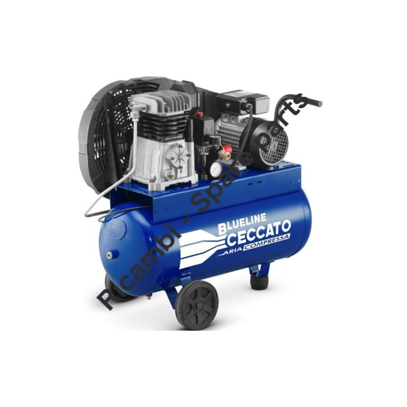 Gruppo Pompante per Compressore a Cinghia A29B BLU