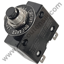 Gruppo Pompante per Compressore a Cinghia A29B BLU