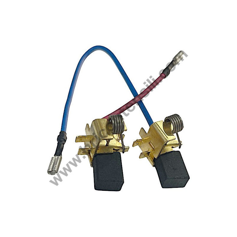 AEG SB2E850R Carbon Brush Set