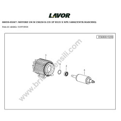 Lavor Pressure Cleaner NPX 1211XP M Parts Drawing - 11