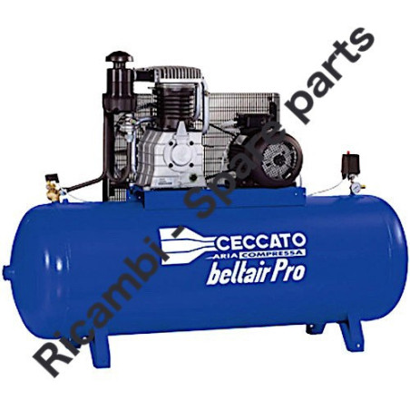 Gruppo Pompante per Compressore a Cinghia A29B BLU