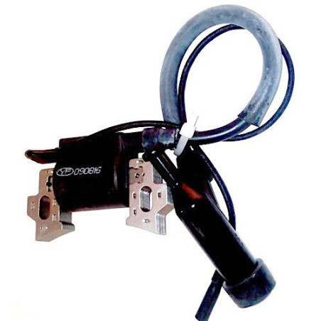 Ignition Coil for Power Generators Valex VX-Rekord