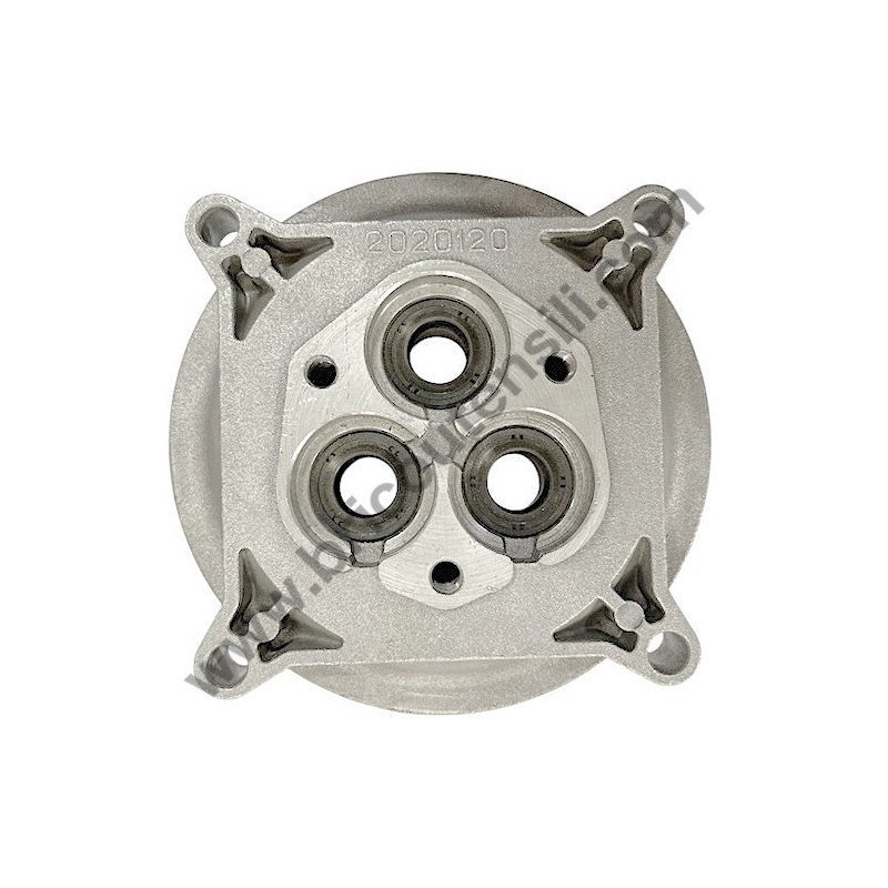 AR 410 Guida Pistone