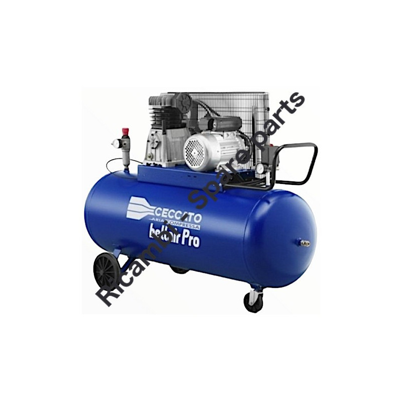 Gruppo Pompante per Compressore a Cinghia A29B BLU