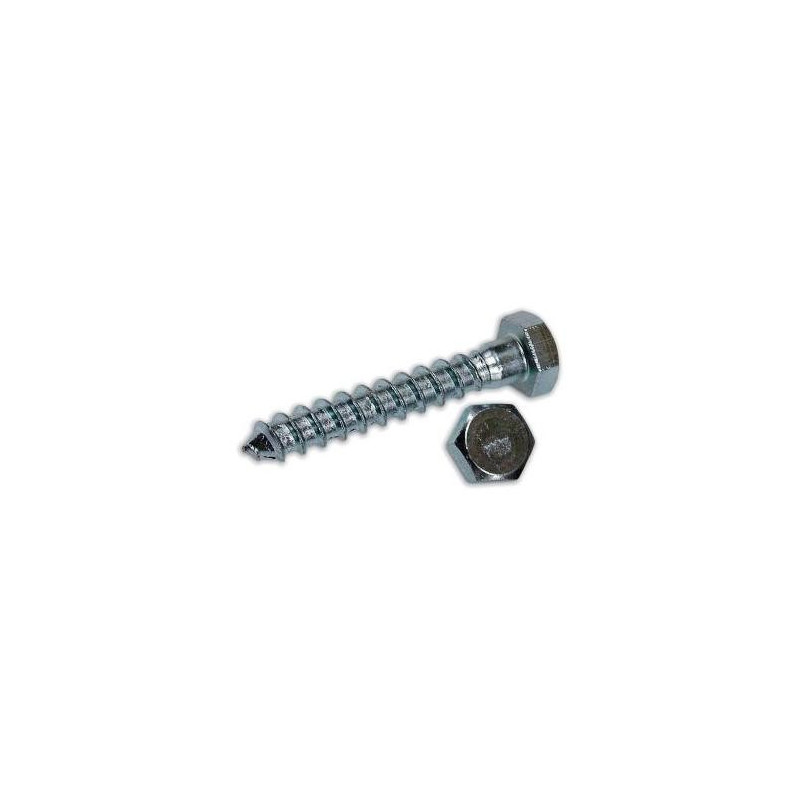 Zincplated Wood screws Hex Head