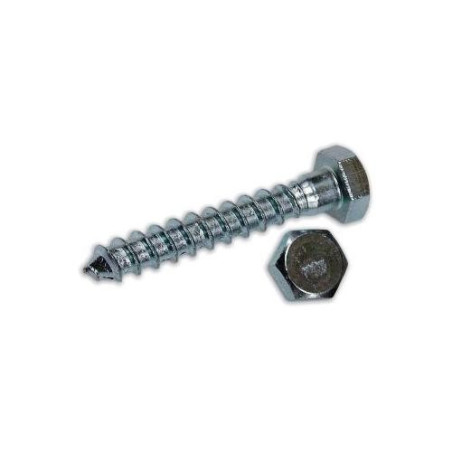 Zincplated Wood screws Hex Head