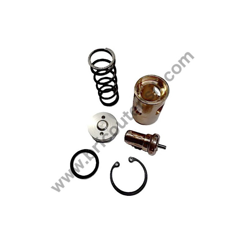 Michelin RSXD 10-300 Kit Valvola Termostatica