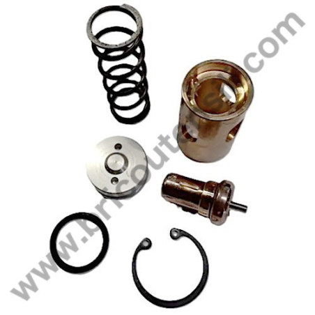 Michelin RSXD 10-300 Kit Valvola Termostatica