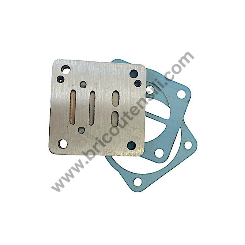 Gruppo Pompante per Compressore a Cinghia A29B BLU