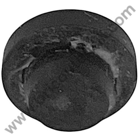 DeWalt DXPW001E Guarnizione OR