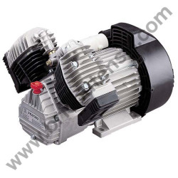 Gruppo Pompante per Compressore a Cinghia Mod. BK119