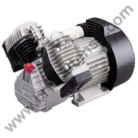 Gruppo Pompante per Compressore a Cinghia Mod. BK119