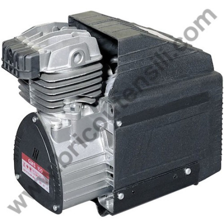 Gruppo Pompante per Compressore Senza Olio Fiac GMS 100