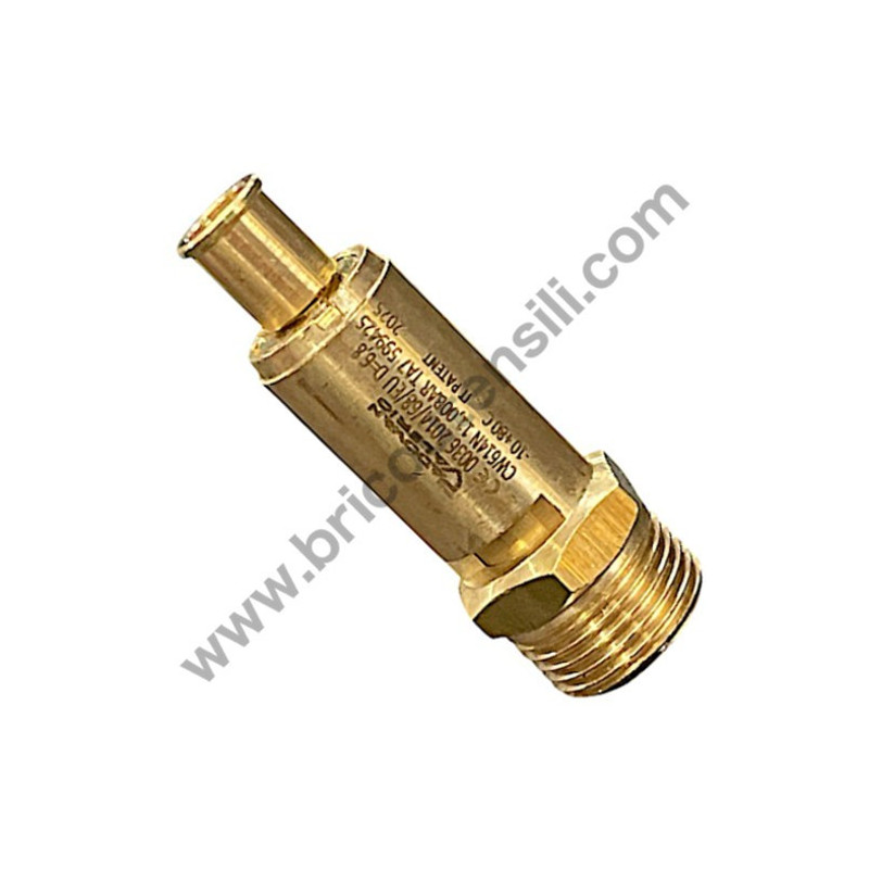 Gruppo Pompante per Compressore a Cinghia A29B BLU