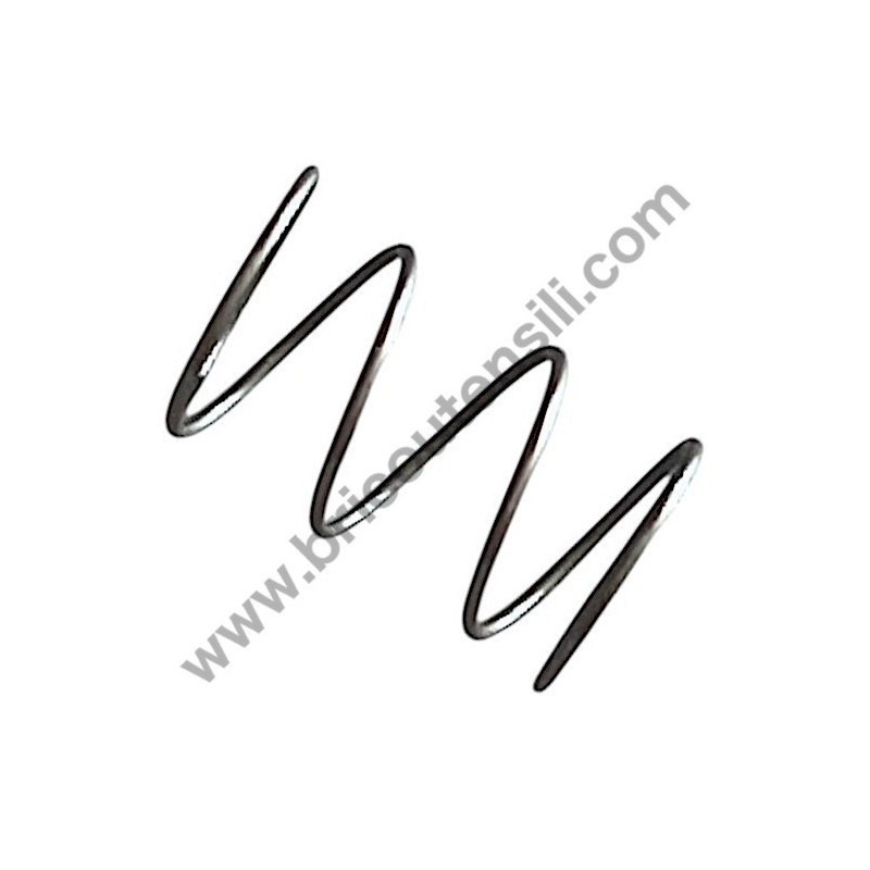 Annovi Reverberi Spring for AR747