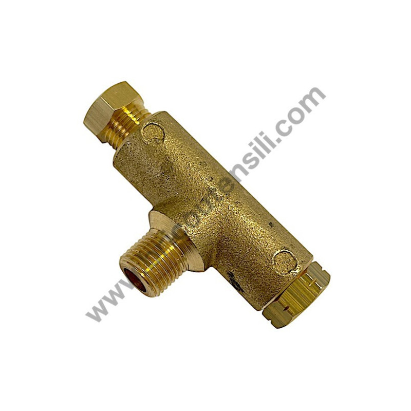 Pistone per Gruppo Pompante Fiac AB 248-338-360