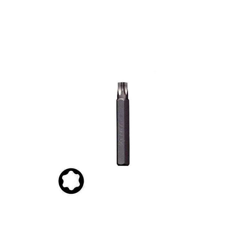 Bits - Full Torx hexagonal connection 10x75 mm