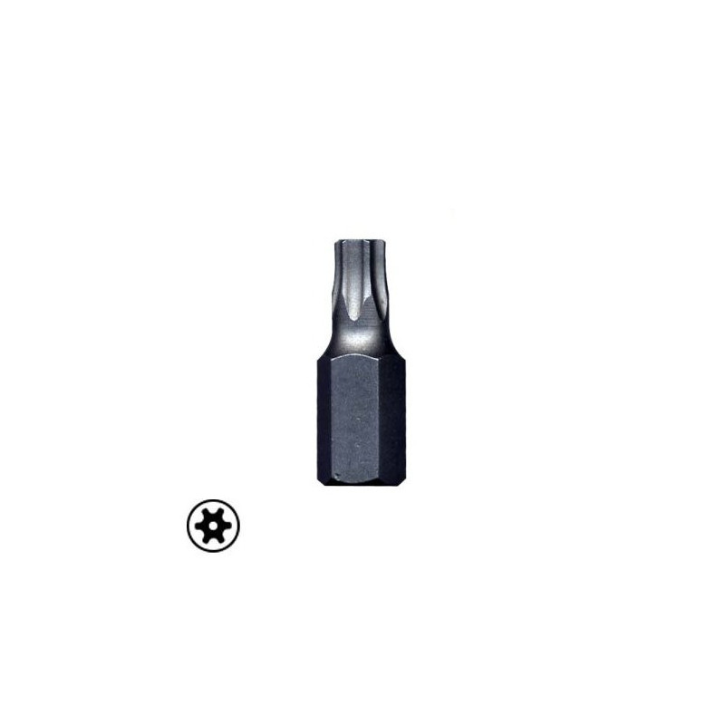 Bits - Torx with hole hexagonal connection 10x30 mm