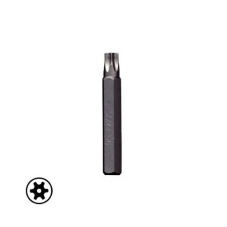 Bits - Torx with hole hexagonal connection 10x75 mm