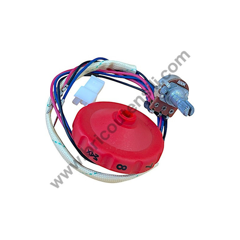 Skil 1613 Speed Governor