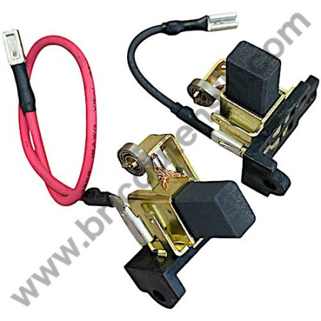 AEG BH24IE Carbon Brush Set