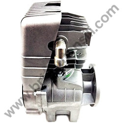 Pistone per Gruppo Pompante Fiac AB 248-338-360